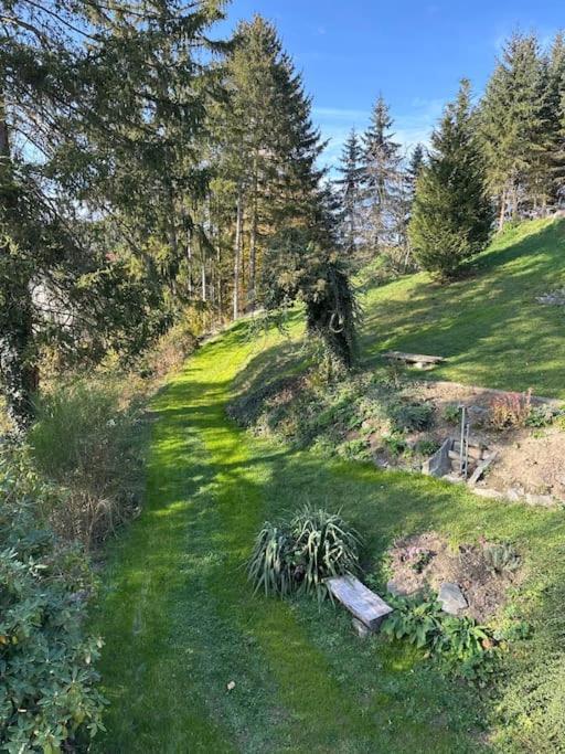 Apartamento Exclusiv Im Erzgebirge Amtsberg Exterior foto